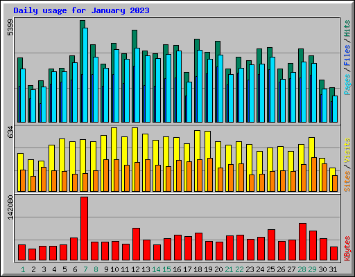 Daily usage for January 2023