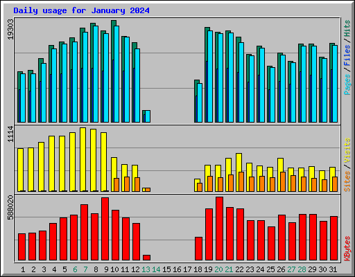Daily usage for January 2024