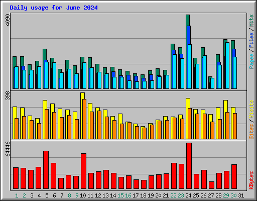 Daily usage for June 2024