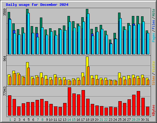 Daily usage for December 2024