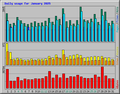 Daily usage for January 2025
