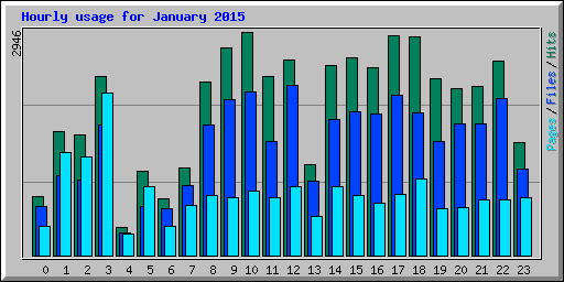 Hourly usage for January 2015