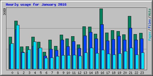 Hourly usage for January 2016