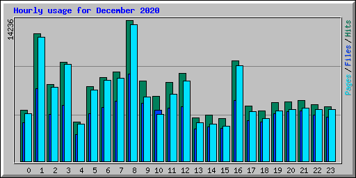 Hourly usage for December 2020