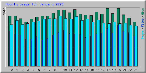 Hourly usage for January 2023