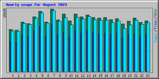 Hourly usage for August 2023