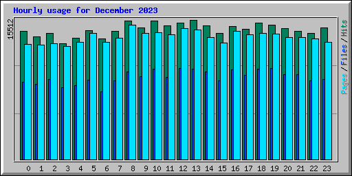 Hourly usage for December 2023