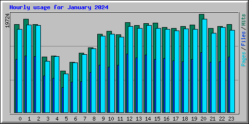 Hourly usage for January 2024