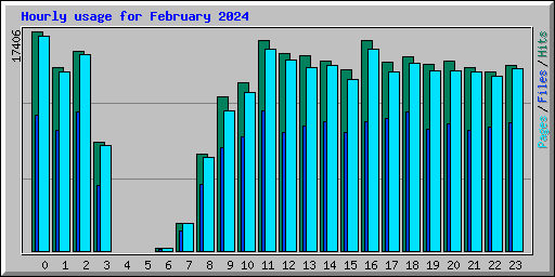 Hourly usage for February 2024