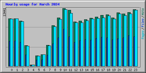 Hourly usage for March 2024