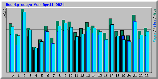 Hourly usage for April 2024