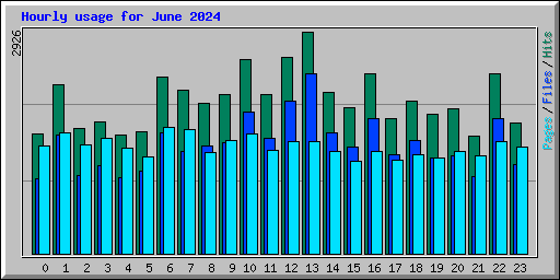 Hourly usage for June 2024