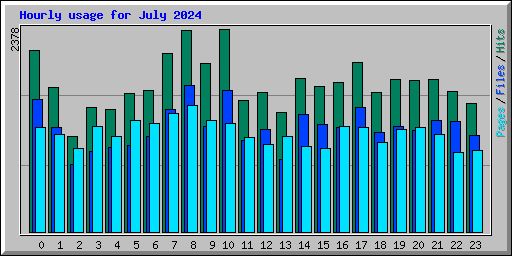 Hourly usage for July 2024