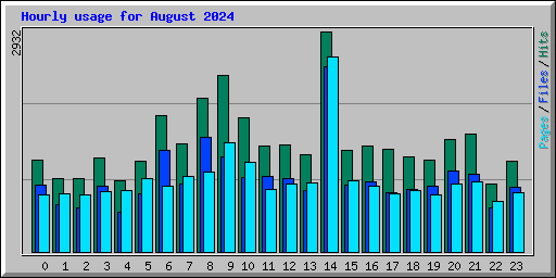 Hourly usage for August 2024