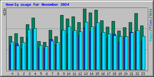 Hourly usage for November 2024