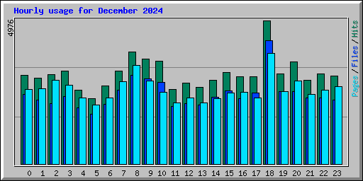 Hourly usage for December 2024
