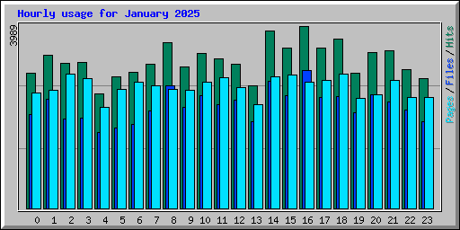 Hourly usage for January 2025