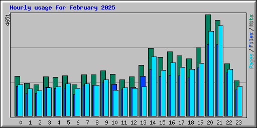 Hourly usage for February 2025