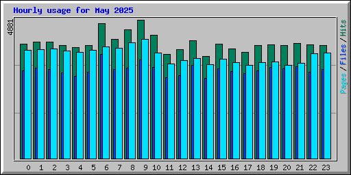 Hourly usage for May 2025