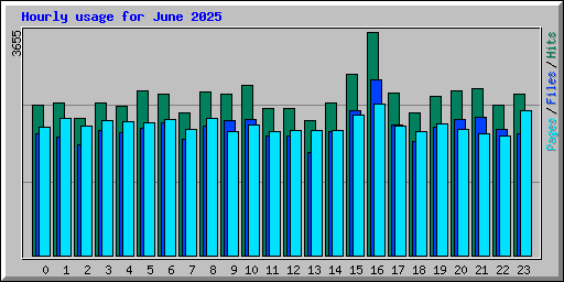 Hourly usage for June 2025