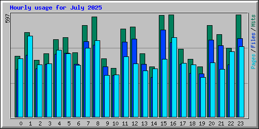 Hourly usage for July 2025