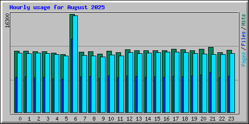 Hourly usage for August 2025