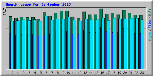 Hourly usage for September 2025