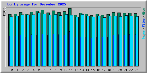 Hourly usage for December 2025