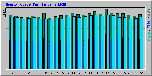 Hourly usage for January 2026