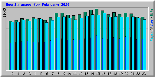 Hourly usage for February 2026