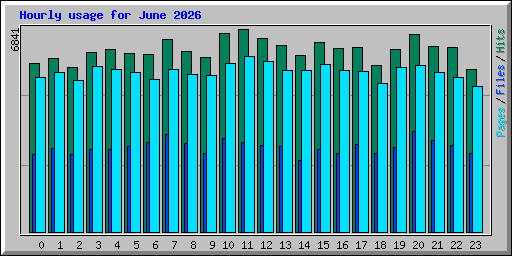 Hourly usage for June 2026