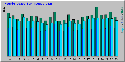 Hourly usage for August 2026